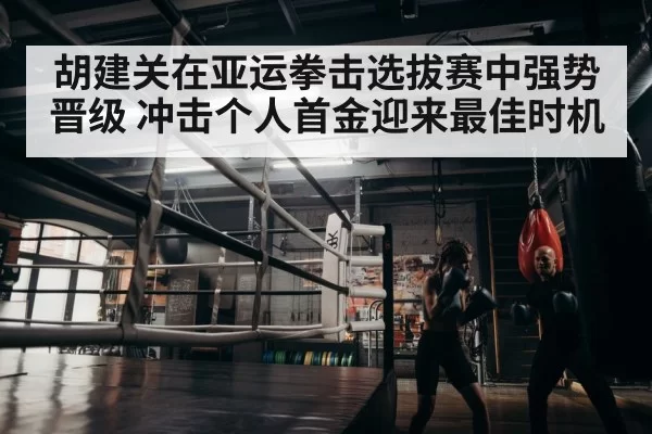 boxer training